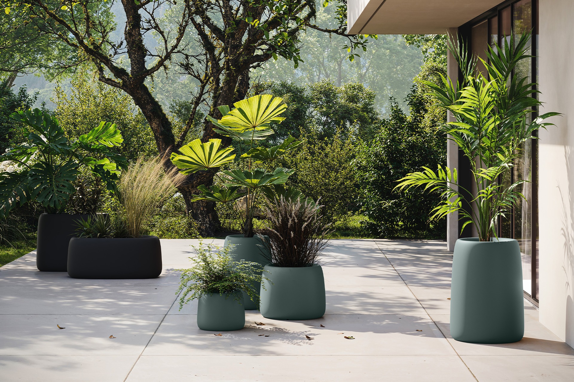 Redonda Alta Organic - Image 5