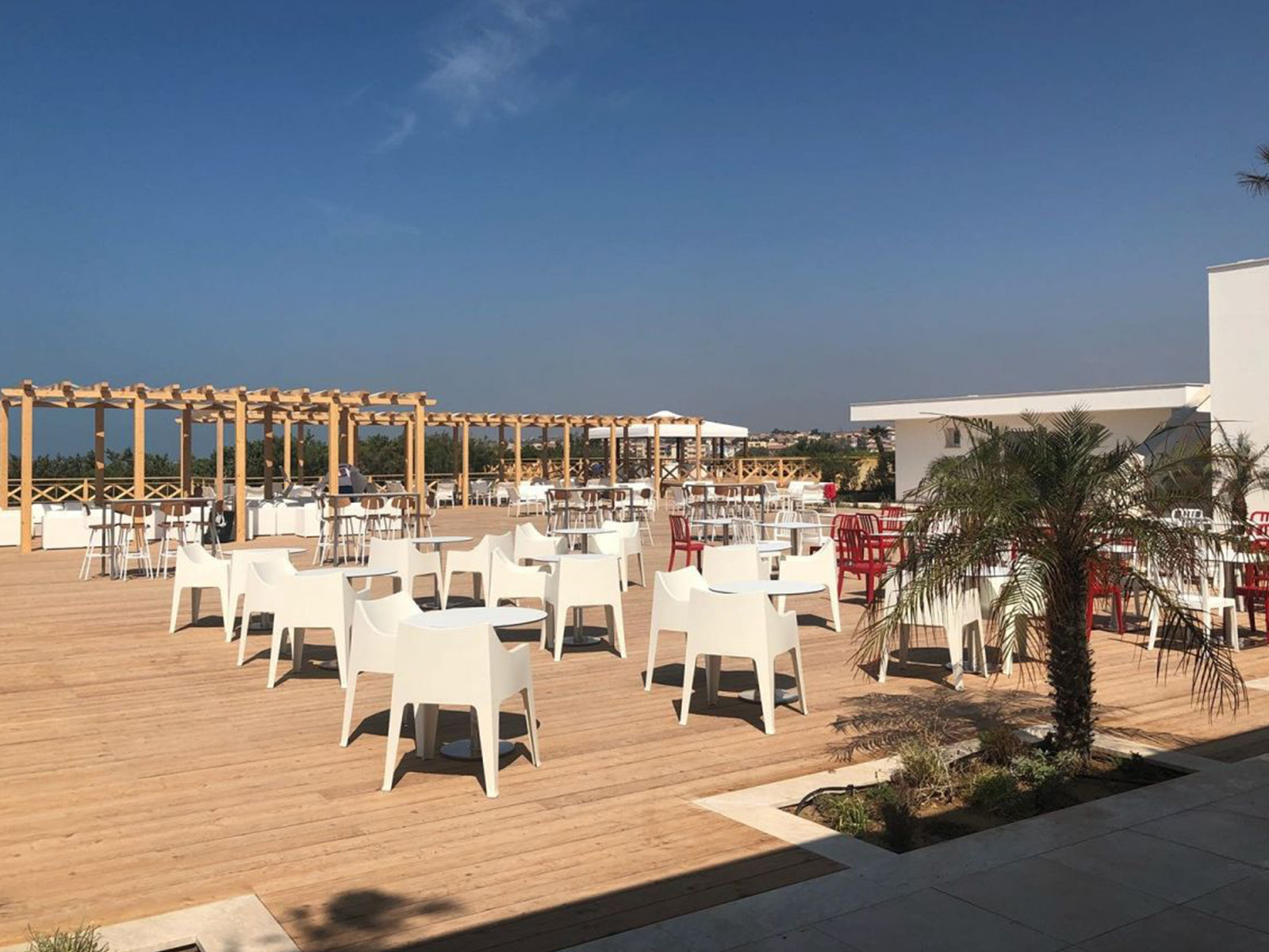 Silla Coccolona - Image 2