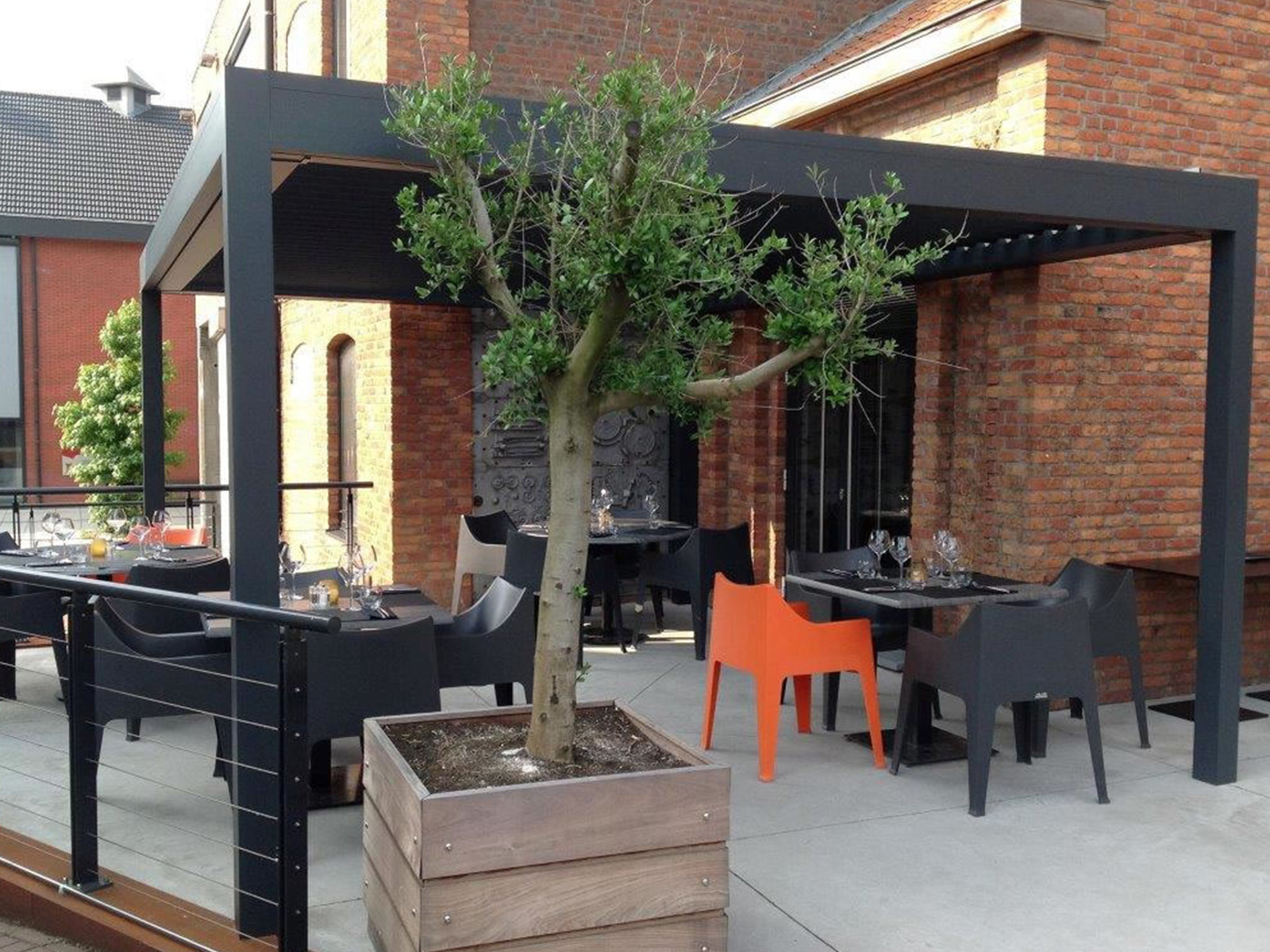 Silla Coccolona - Image 3