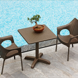 Silla Olimpia con Brazos